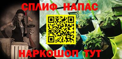 кокс Кинель