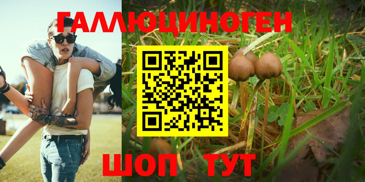 Галлюциногенные грибы MAGIC MUSHROOMS  Галлюциногенные грибы Magic Shrooms  Вход с VPN  Георгиевск 
