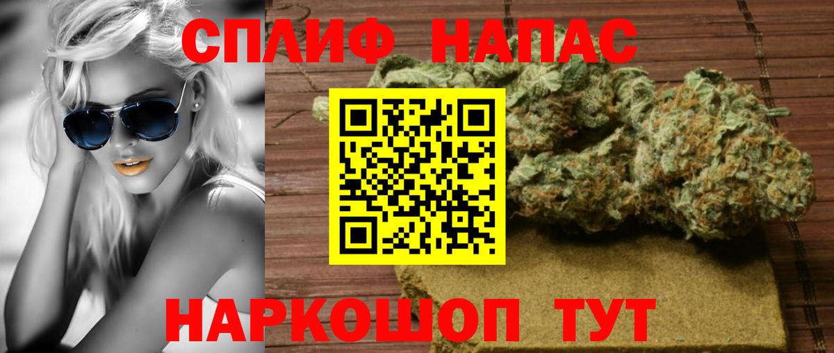 Конопля конопля Георгиевск